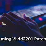 Gaming Vivid2201 Patches